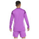 Adidas Ανδρική φανέλα τερματοφύλακα Tiro 25 Competition Goalkeeper Jersey